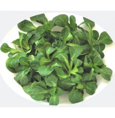 Canónigos, Bandeja de 95 Gr...