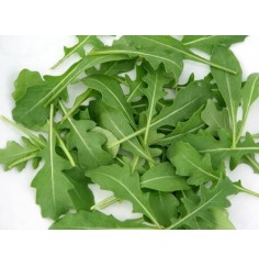 Rúcula, Bandeja 95 Gr (Italia)