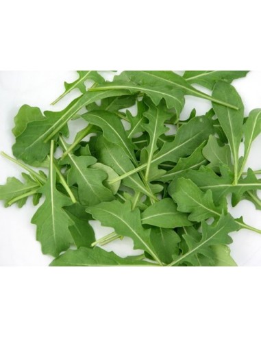 Rúcula, Bandeja 95 Gr (Italia)