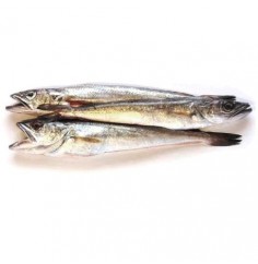 Pijota Nacional, Calibre 10/15 cm por Pieza