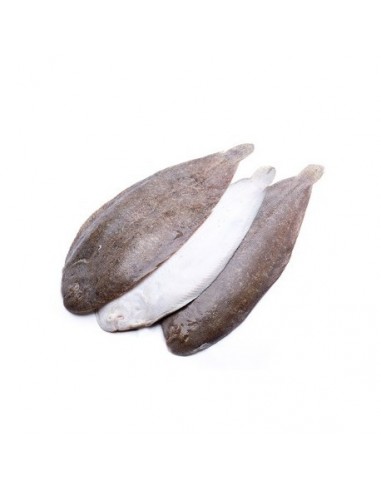 Lenguadina de Ración Nacional, el Kg