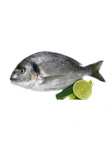 Besugo Gallego, el Kg