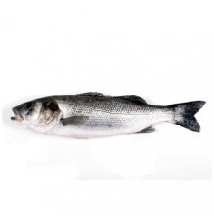 Lubina Gallega, el Kg