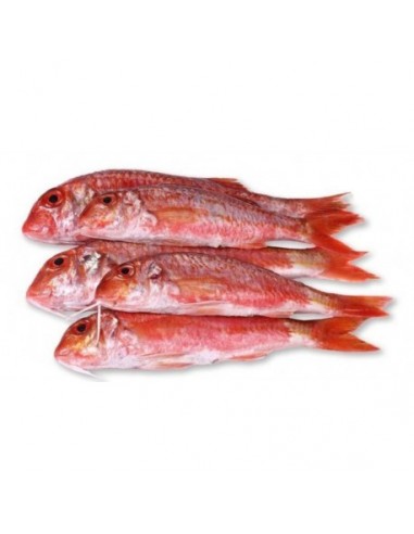 Salmonete de Roca, el Kg