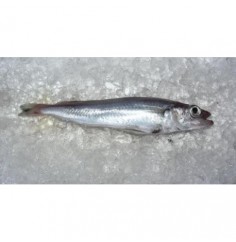 Bacaladilla Nacional, el Kg