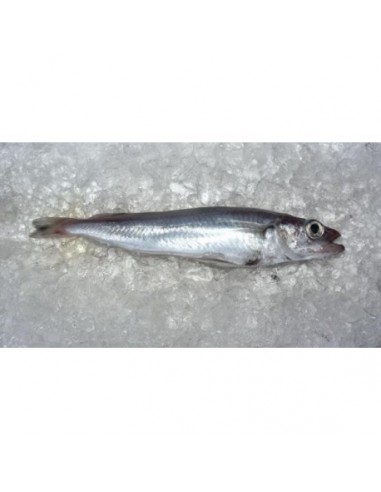 Bacaladilla Nacional, el Kg