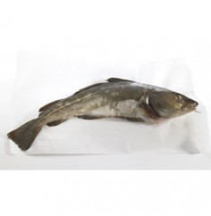 Bacalao Fresco del Mar del Norte, el Kg