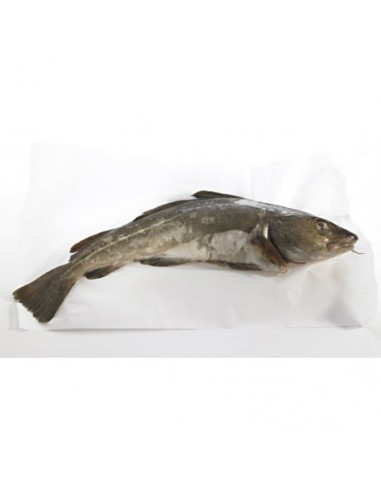 Bacalao Fresco del Mar del Norte, el Kg
