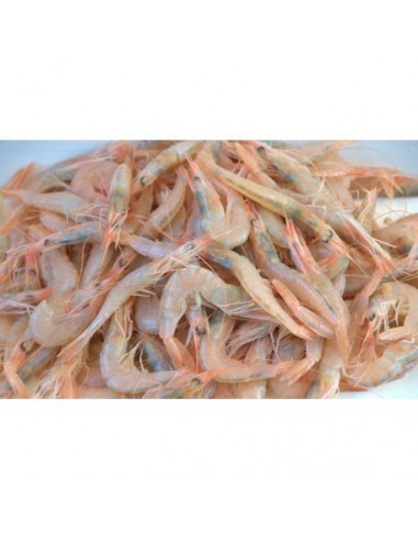 Gamba Arrocera Nacional, el Kg