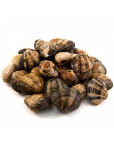 Almeja de Cultivo Nacional, el Kg