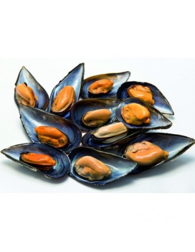 Mejillones Nacionales, el Kg