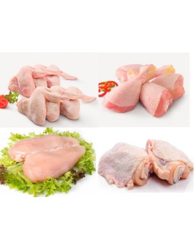 LOTE ESTRELLA DE POLLO