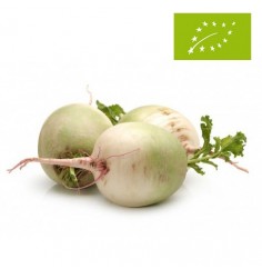 Nabos, el Kg (Valencia)