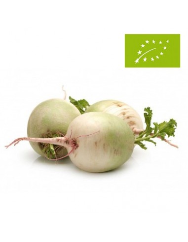 Nabos, el Kg (Valencia)