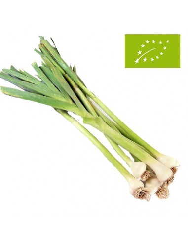 Ajos Tiernos Ecológicos