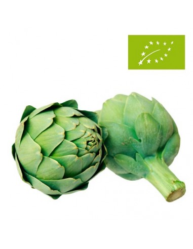 Alcachofas Ecológicas