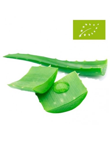 Aloe Vera Ecológico