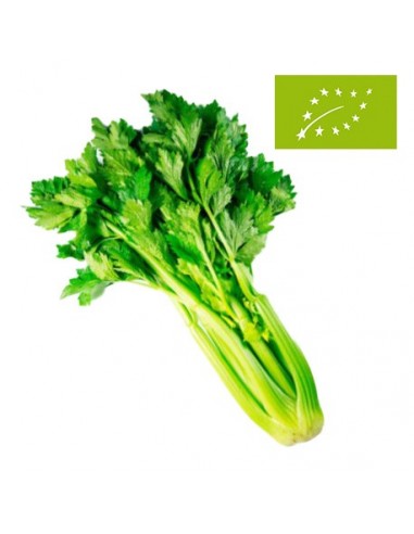 Apio Ecológico