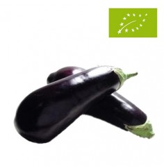 Berenjenas Ecológicas