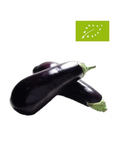 Berenjenas Ecológicas