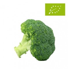 Brócoli Ecológico