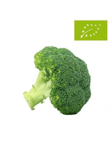 Brócoli Ecológico