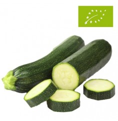 Calabacines Ecológicos