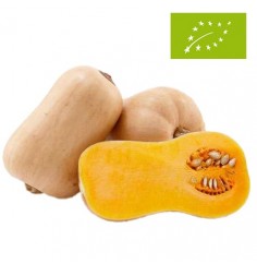 Calabaza Cacahuete Ecológica