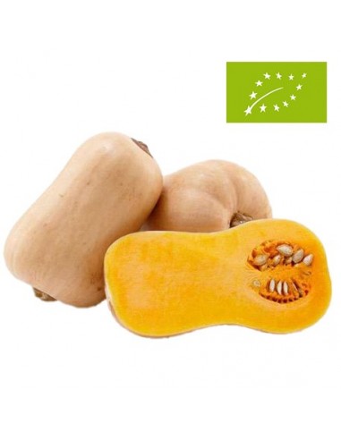 Calabaza Cacahuete Ecológica