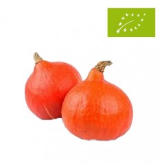 Calabaza Potimarron Ecológica