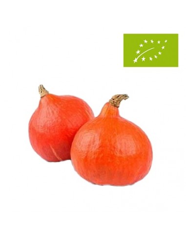 Calabaza Potimarron Ecológica