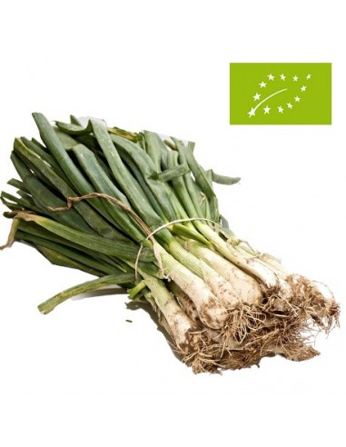 Calçots Ecológicos