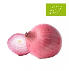 Cebollas Rojas Ecológicas