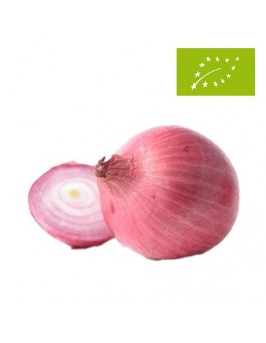 Cebollas Rojas Ecológicas