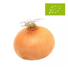 Cebollas Ecológicas