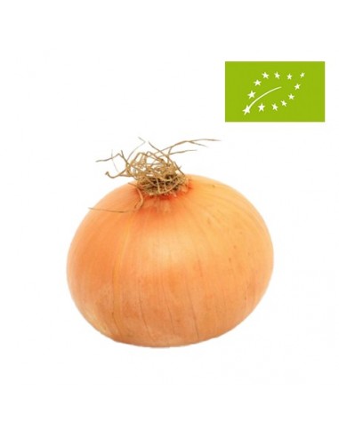 Cebollas Ecológicas