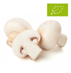 Champiñón Blanco Ecológico