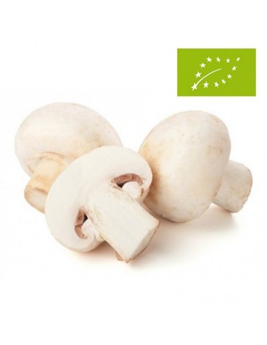 Champiñón Blanco Ecológico