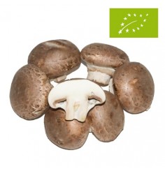 Champiñón Portobello Ecológico