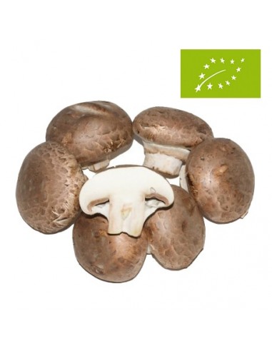 Champiñón Portobello Ecológico