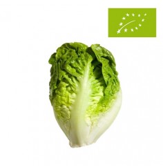 Cogollo de Tudela Ecológico