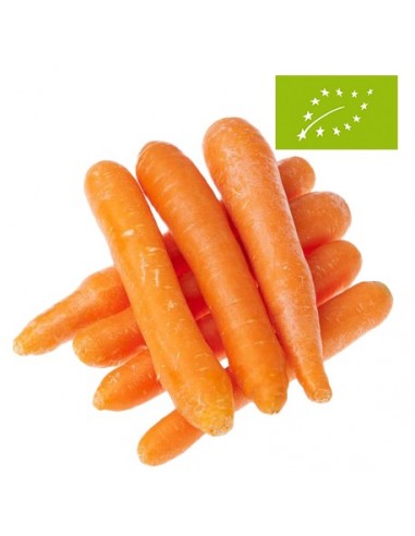 Zanahorias Ecológicas