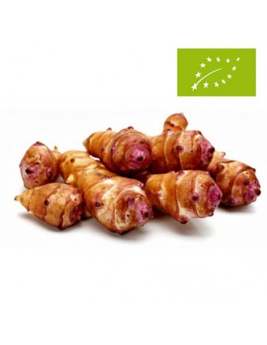 Tupinambo Ecológico