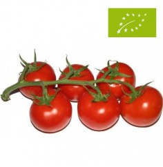 Tomates en Rama Ecológicos