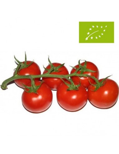 Tomates en Rama Ecológicos