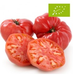 Tomates Rosas de Barbastro Ecológicos