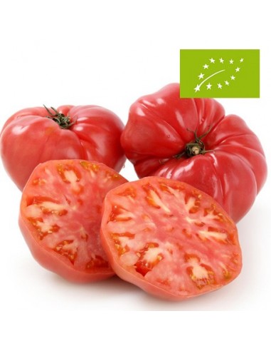 Tomates Rosas de Barbastro Ecológicos