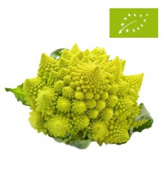 Romanescu Ecológico
