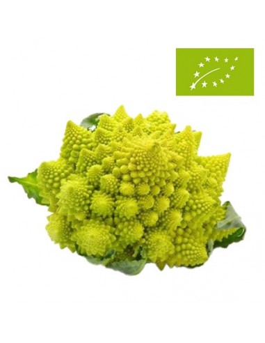 Romanescu Ecológico