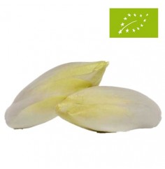 Endivias Ecológicas